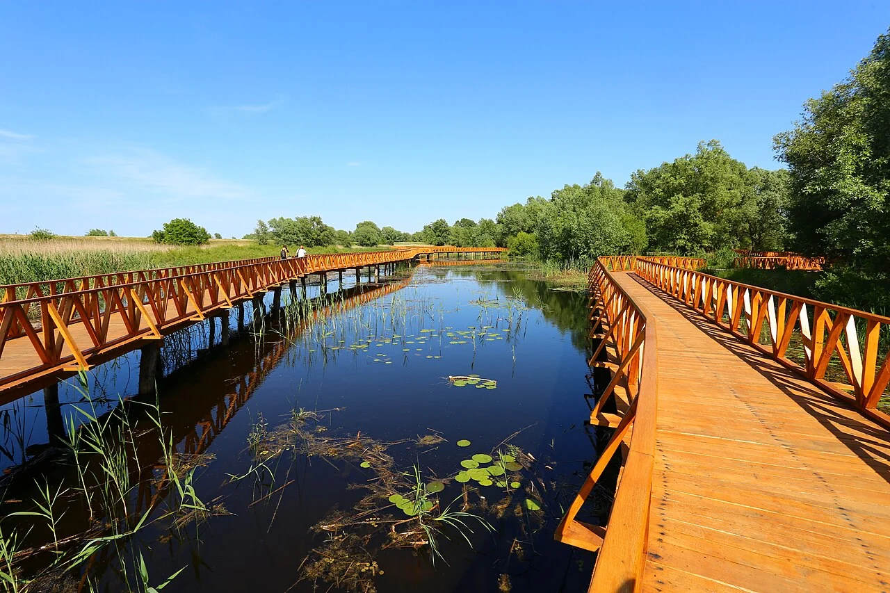 Wooden boardwalk over the water at Kopački Rit Nature Park