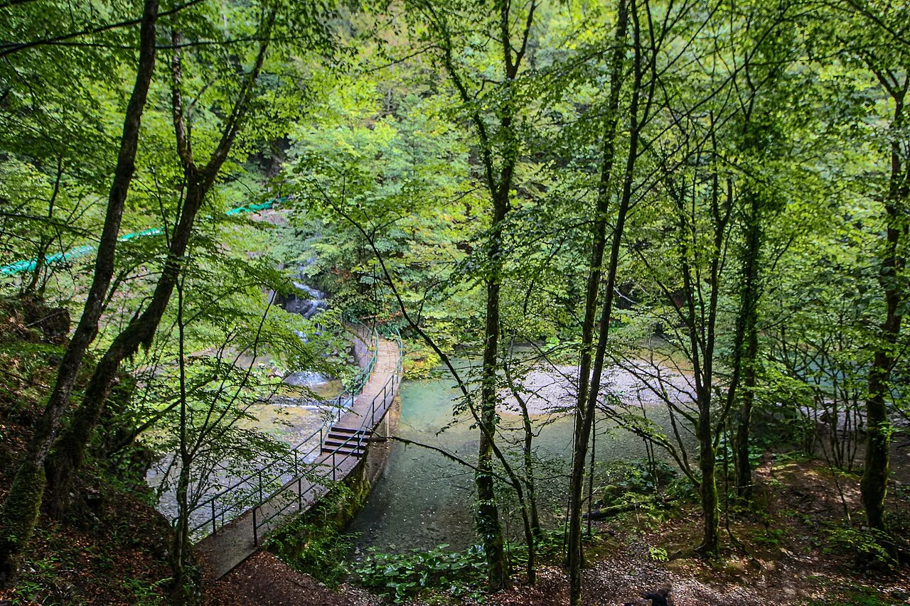 Forest path and turquoise water at Zeleni Vir in Gorski Kotar